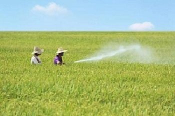 �����ա�ʡ�ɱ�������ɵ�����