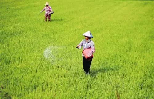 �����r(n��ng)ˎ���ʹ�������أ�С��ᄴ��e(cu��)��