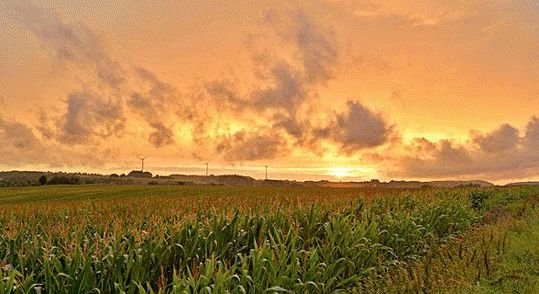 ��ʩ��߀�߮a(ch��n)��һ�����_�@21�����