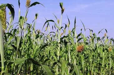 ����ʩ�ʼ��g(sh��)