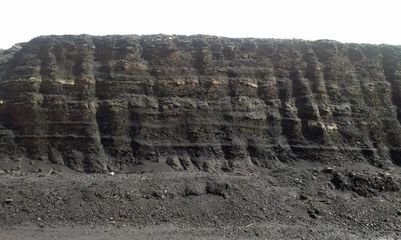 ��ֲ���~��ʵ�ʩ�ü���