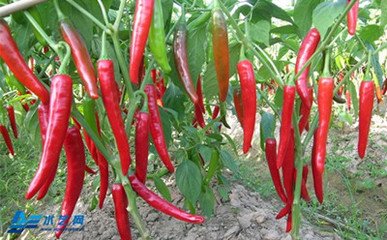 С�⽷��ʩ�ʺ͹�ȼ��g(sh��)