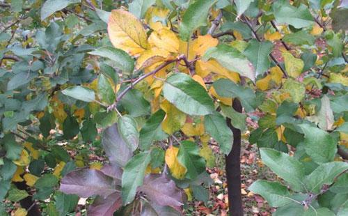 ����ʩ�ʹ���s���ˣ�����ʺ���ӛ�@Щ�k����