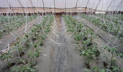 �紺����o�����������ʩ�ʣ�