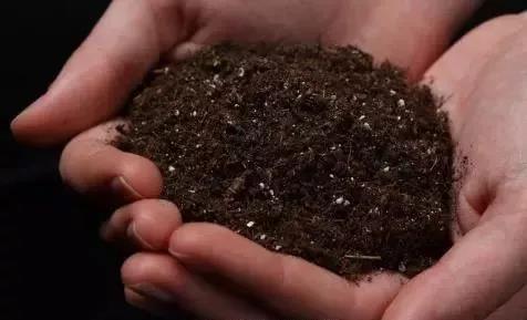 �������涼�С�����������Ч�܅�����