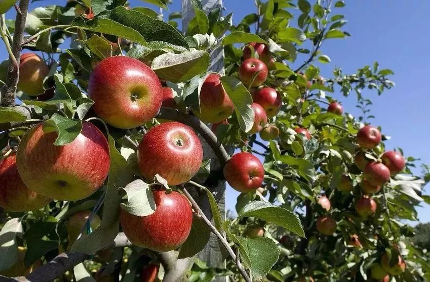 ����ȫ�����ӛס4��Ԓ���Q��һ����ճ���