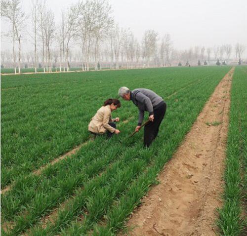 ʩ�ʌ�С������Щ����