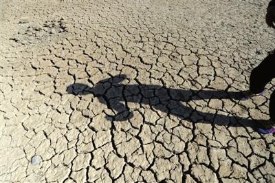 �����������ԓ���ʩ�ʣ�