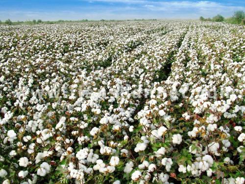 2018�괺���޻��ƌWʩ��ָ����Ҋ