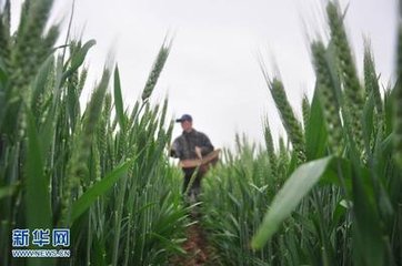 ������^(q��) ʩ�ʸ��Ђ�(c��)��