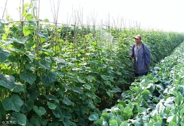 �~��ʿƌWʩ�õ�12�N��������ʩ�rҪ��˶���