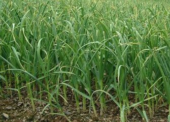 �������ʩ�ʲ��ܸ߮a(ch��n)������߮a(ch��n)ʩ�ʼ��g(sh��)