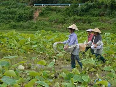 ���裺�@��ʻ������ͷ�Ч��