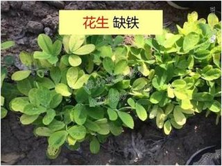 ����ȱ�F��ô�k��