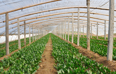 �����߲���κ���ʩ�ʣ������߲�ʩ�ʼ��g(sh��)