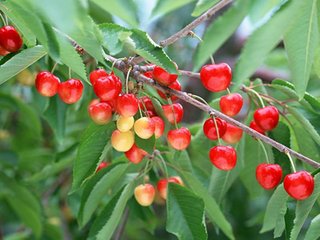 ������ô�ƌW(xu��)ʩ�ʣ�����ʩ�ʼ��g(sh��)