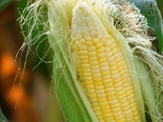 �������С��ͬ��ʲô�r����~��ʺ��m��