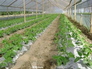 �����߲�ʩ����Ҫע��ʲô�������߲�ʩ��ע�����(xi��ng)