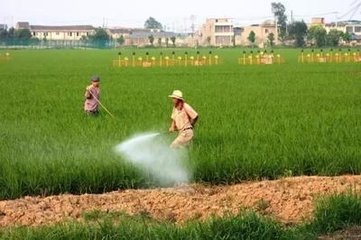 �~�������Щ���c���~��ʵ����c