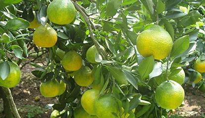 �������ʩ�ʲ��ܸ߮a������ʩ�ʼ��g