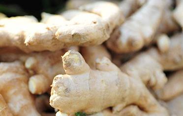 �������ʩ��΢�ʣ�����ʩ��΢�ʼ��g