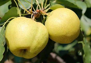 �S�������ʩ�ʣ��S�����ʩ�ʼ��g