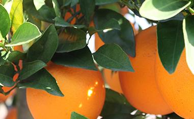 �����~�懊�ʵ�ע�����