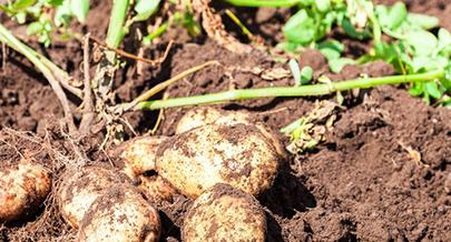 �������ʩ��⛷ʣ�����ʩ��⛷ʼ��g