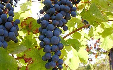 ���ѳ������÷ʣ��㶼������Щ�ӣ�