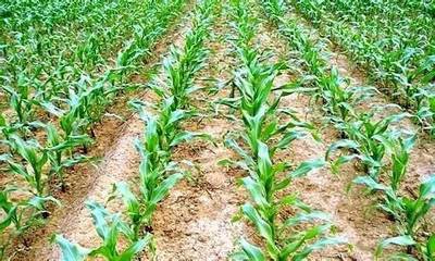 �����ס��N��ͬ�������@������ʡ��߀�����磡