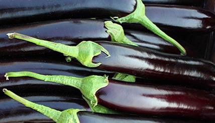 ������οƌW(xu��)ʩ�ʣ����ӿƌW(xu��)ʩ�ʼ��g(sh��)