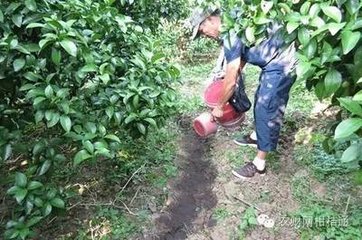 �������ʩ�ʲ��܃��|+�S�a��