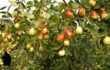 �o(w��)�����󗗵�ʩ�ʷ�����ʲô��