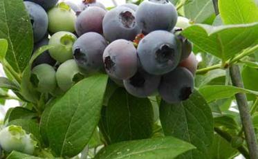 �{(l��n)ݮʩ�ʕr(sh��)�g��ʩ�ʷ���