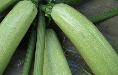 ���ʩ�ʱ��������J������