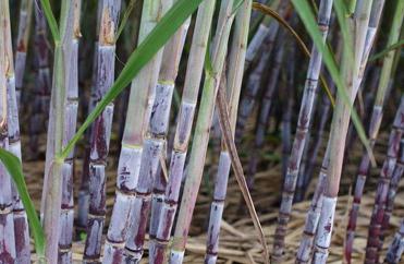 ���rʩ�������ɝM���������