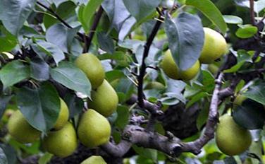 �������_ʩ�ʷ�����ʲô��