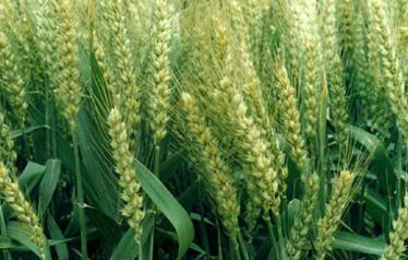 ����ЄeС��?zh��n)Ƿ�ȱ���أ? /></a></td>
                <td><b><a href=