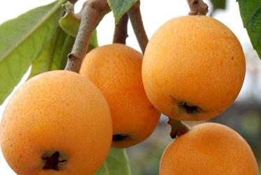 ���˿ƌW(xu��)ʩ�ʷ�����B