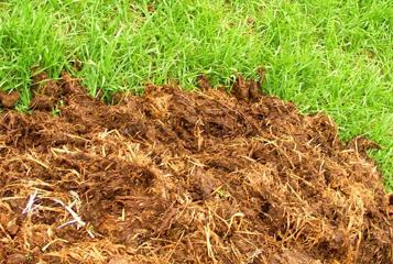 ����ɳ��r(n��ng)�ҷ��еĺ��x��