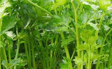 �۲�ʩ�����ص�Ҫ�c(di��n)���(xi��ng)����Щ��