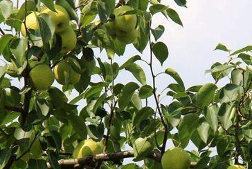 ����ʩ�����ļ����㷸�ˆ���