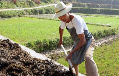 ��ͥ�a�����ӱ���źã�