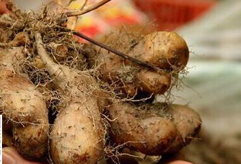 ���ӽo����ʩ���ѿp�ʣ�