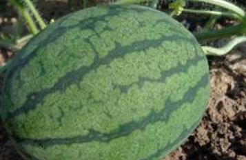 �s�����ϵ��䷽ʩ������Щ��