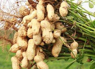 �Ļ�����׷���P�I�c����Щ��