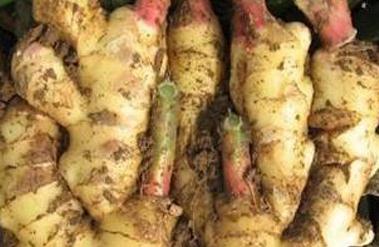 ����ʩ����ע��Ҫ�c(di��n)��