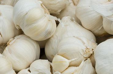 ����������ʵĿƌW(xu��)ʩ�÷�����