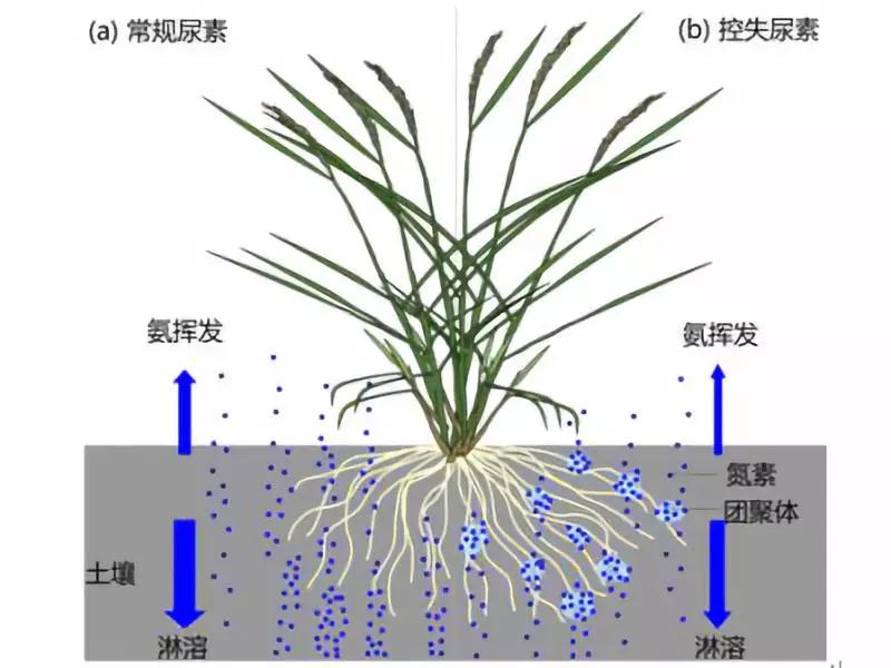 ������ʩ�ʲ������ﲻ�L������͛]���^���зʺ������������ʺ���ȫ֪�R��