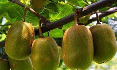 �J����ʩ����ע�����(xi��ng)